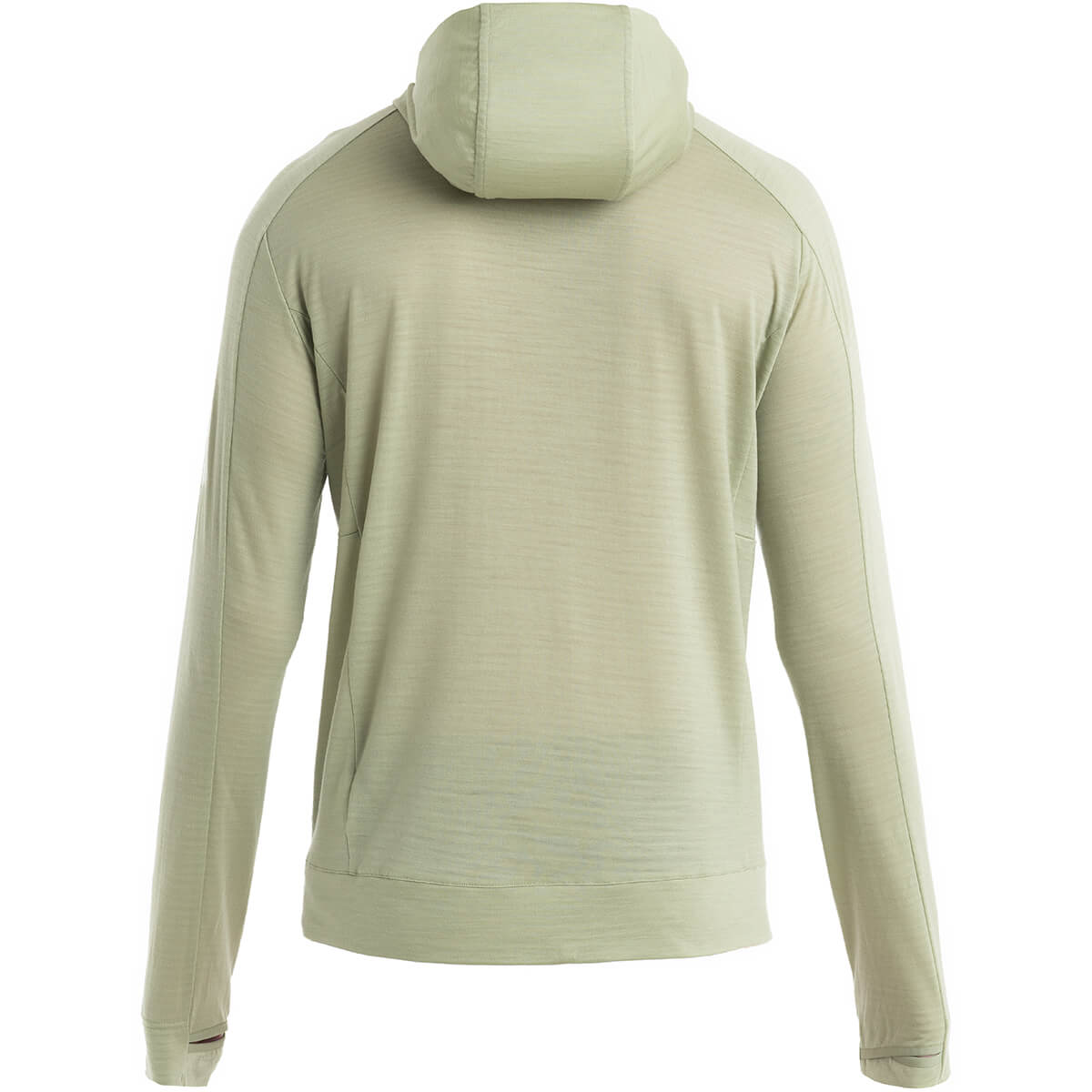 Merino 200 RealFleece IB X TNF Men's LS Zip Hoodie