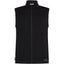 Merino Blend 300 RealFleece Descender Men's Vest