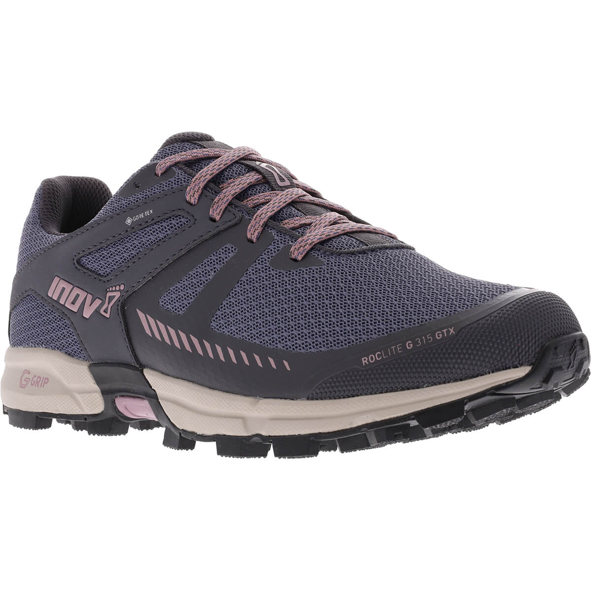 Roclite G 315 GTX V2 Women's Shoe