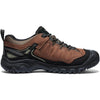 Targhee IV Men's Waterproof Hiking Shoe