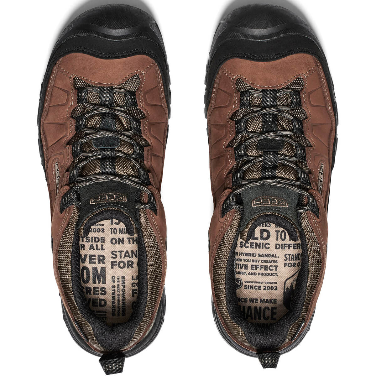 Targhee IV Men's Waterproof Hiking Shoe