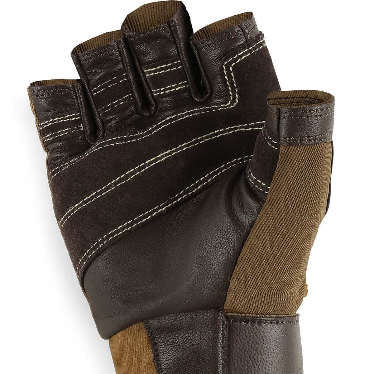 Fossil Rock II Gloves