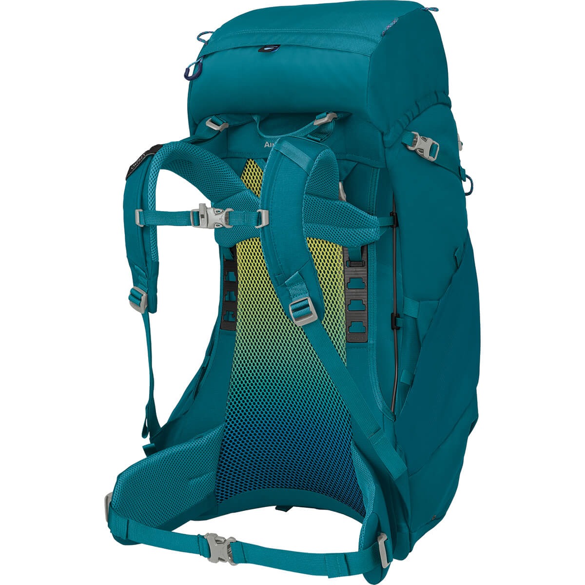 Blue Spikemoss/Deep Peyto 3/4 back view