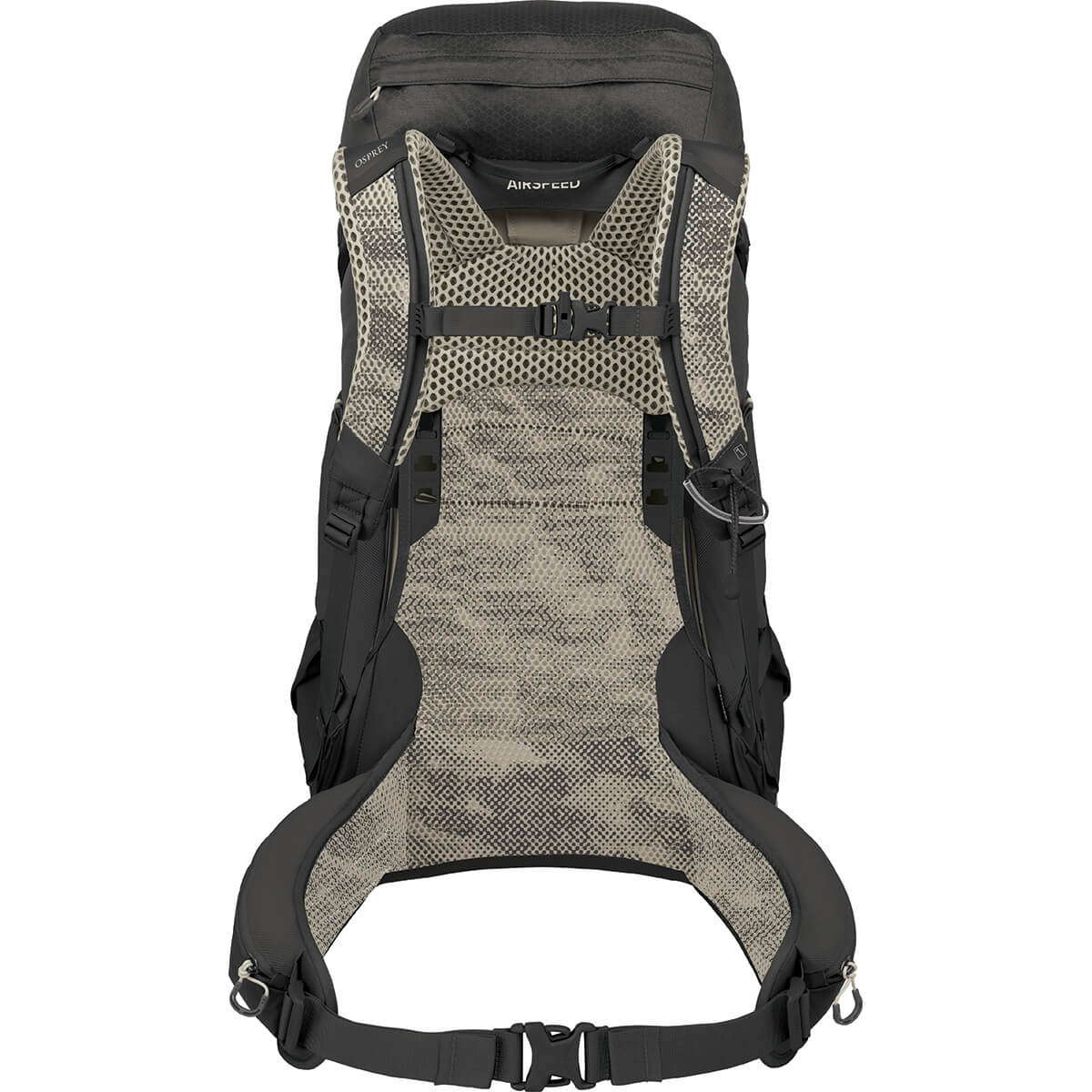 Raven Black back