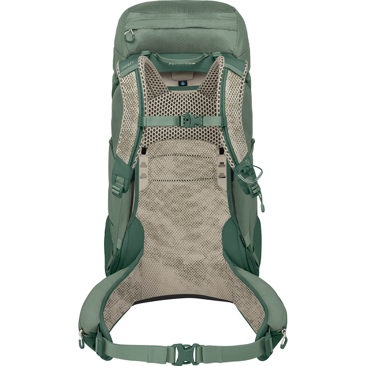 Pine Leaf Green back