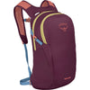 Daylite Daypack/Removable Backpack Attachment