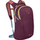 Daylite Daypack/Removable Backpack Attachment