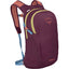 Daylite Daypack/Removable Backpack Attachment