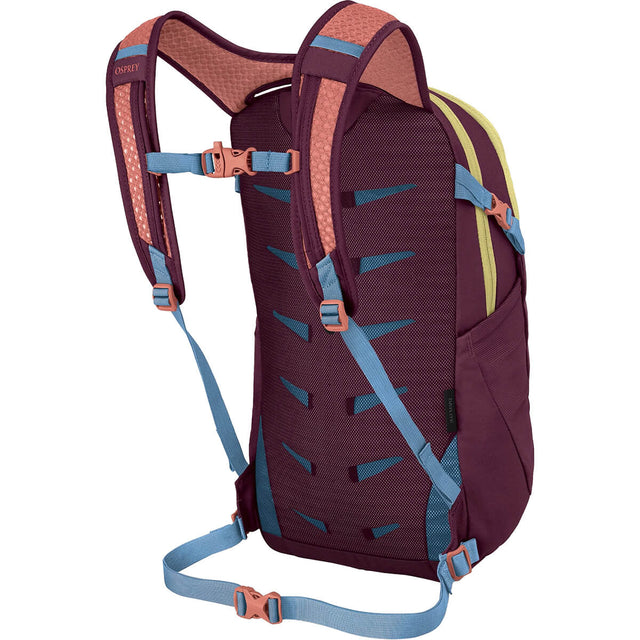 Daylite Daypack/Removable Backpack Attachment