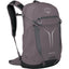 Sportlite 20 Pack
