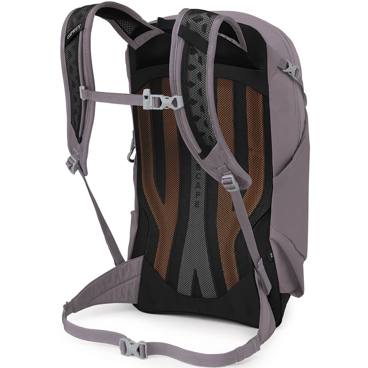Sportlite 20 Pack