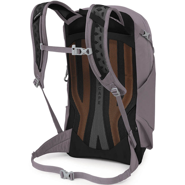 Sportlite 20 Pack