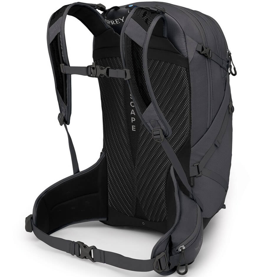 Sportlite 25 Pack