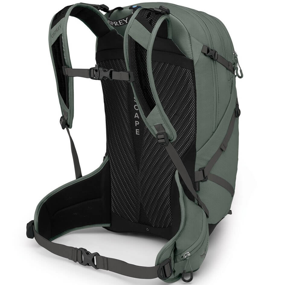 Pine Leaf Green 3/4 back view