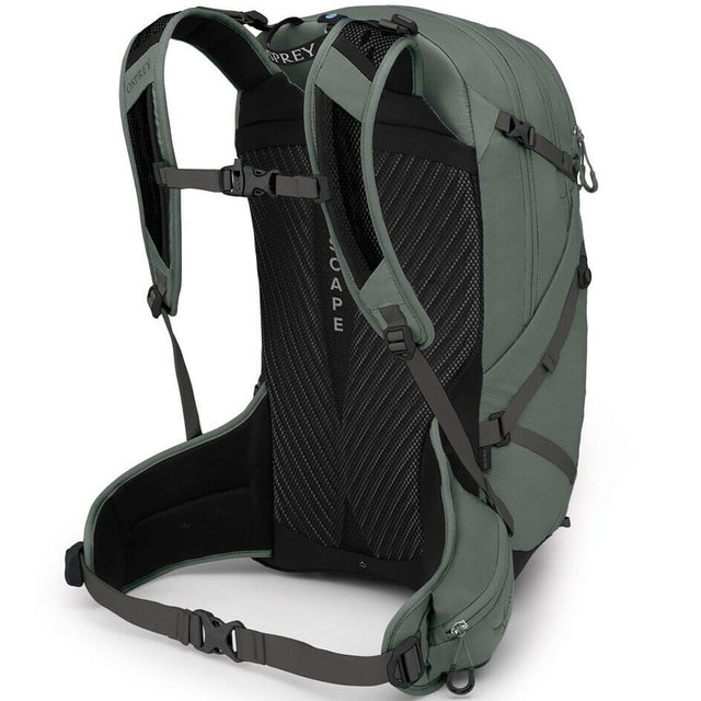 Pine Leaf Green 3/4 back view