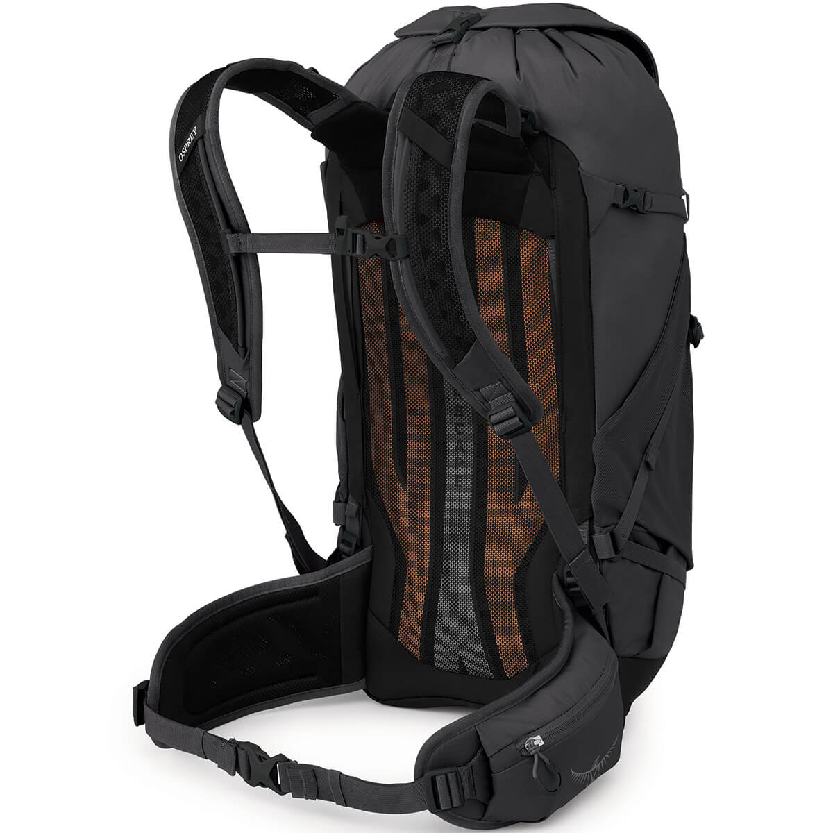 Sportlite 30 Pack