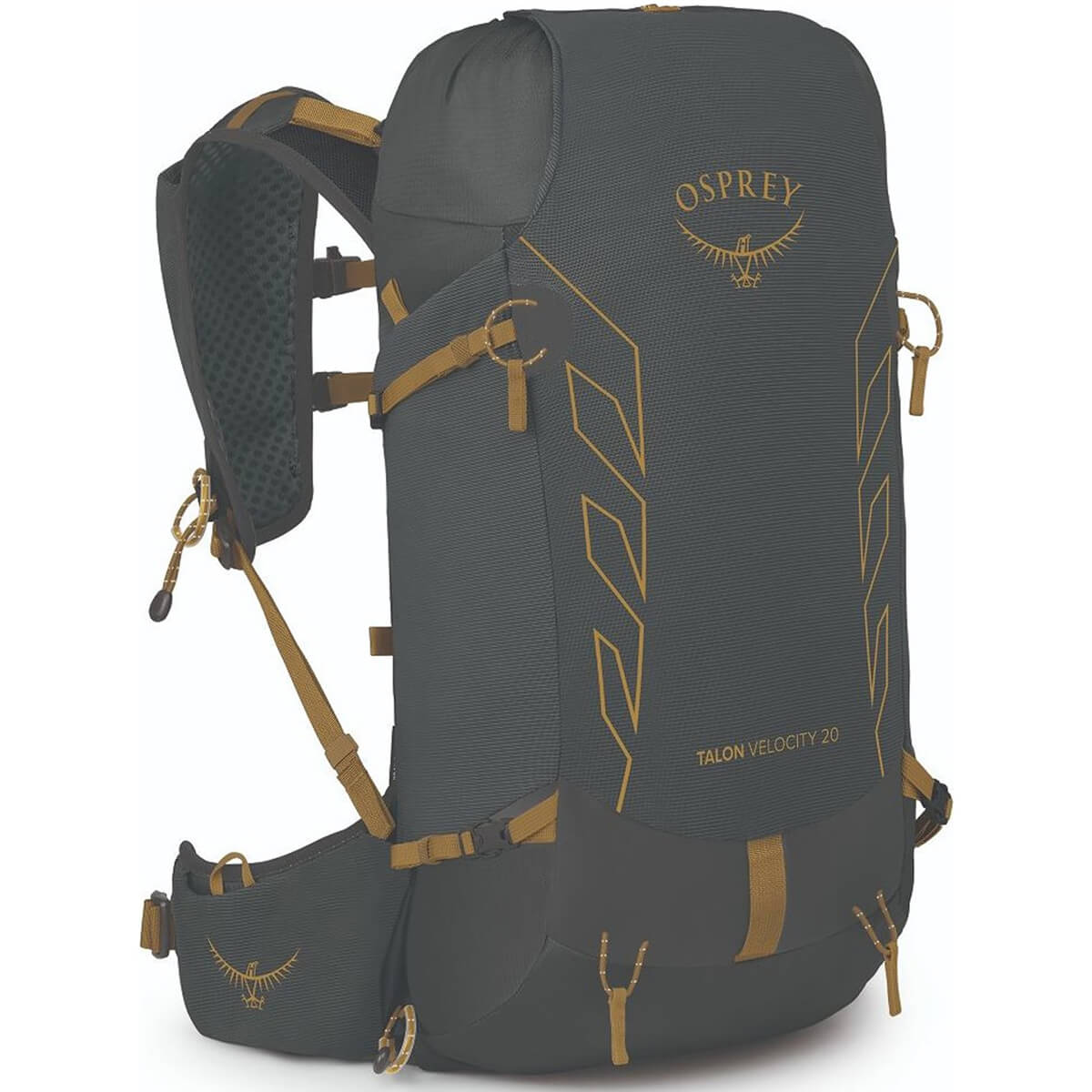 Talon Velocity 20 Multisport Pack