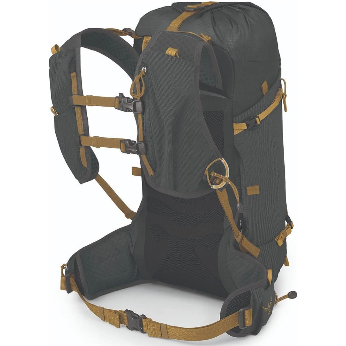 Talon Velocity 20 Multisport Pack