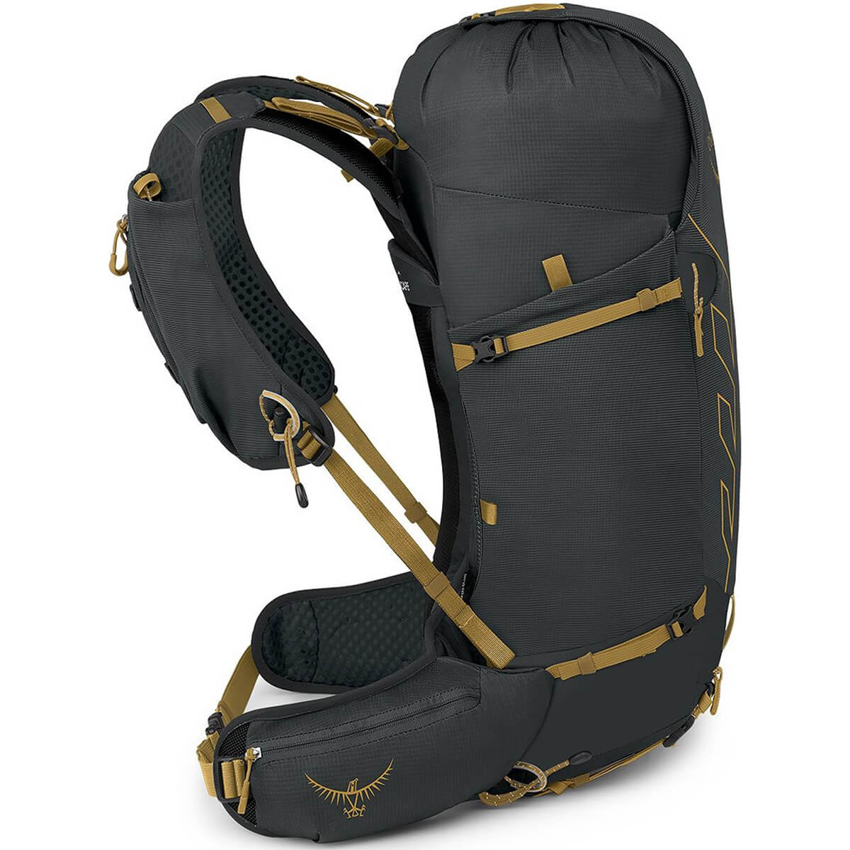 Talon Velocity 30 Multisport Pack