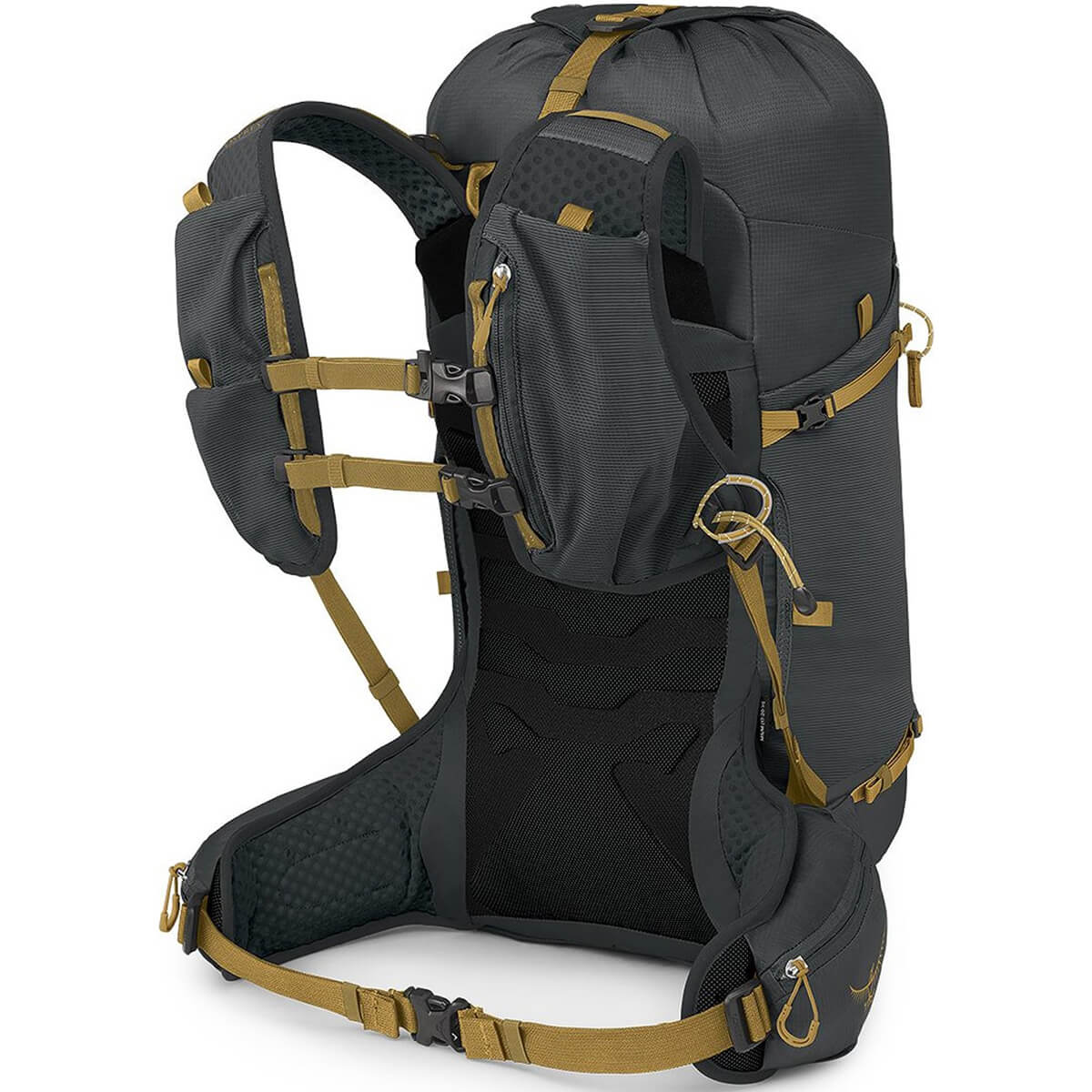 Talon Velocity 30 Multisport Pack