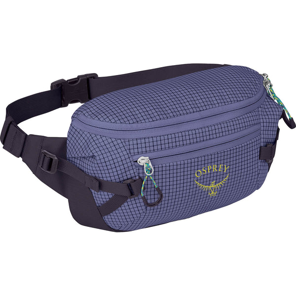 Transporter Waist Pack