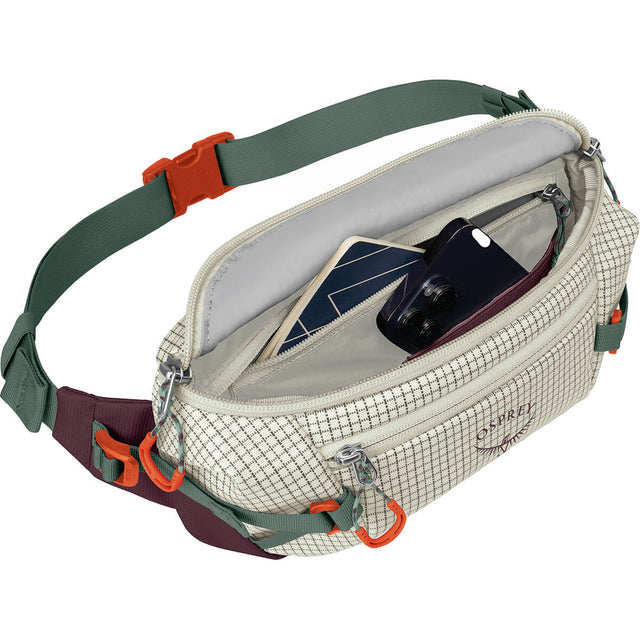 Transporter Waist Pack