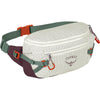 Transporter Waist Pack