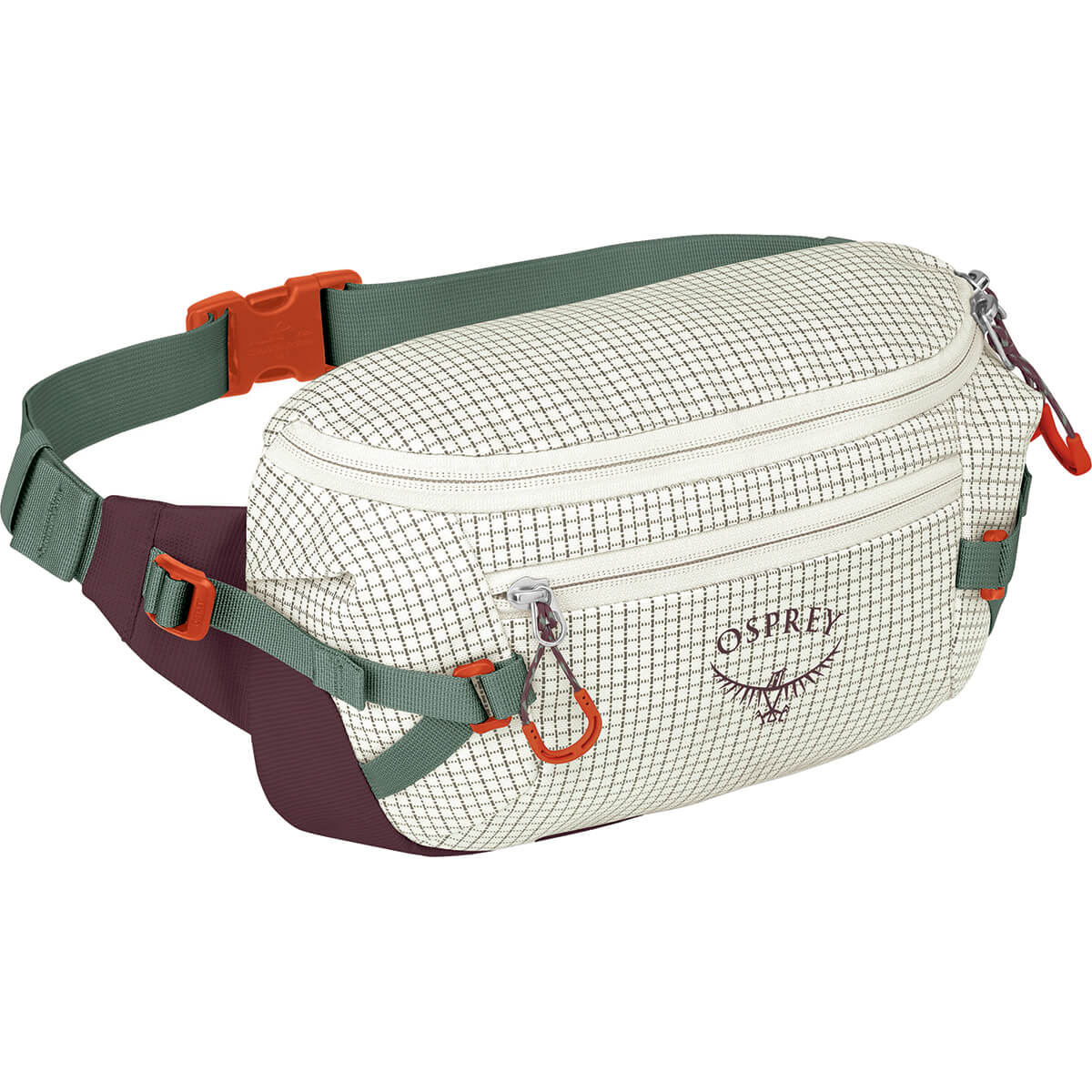 Transporter Waist Pack
