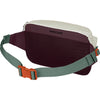 Transporter Waist Pack