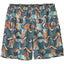 Baggies Men's 5-inch Shorts