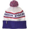 Powder Town Beanie