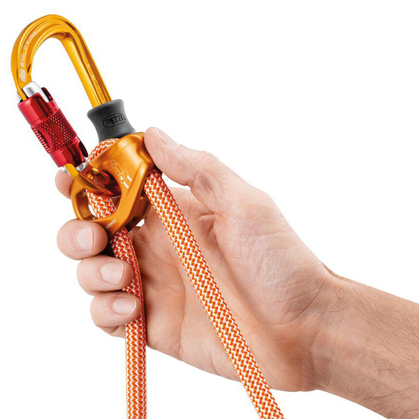Clipped into carabiner