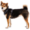 Front Range Dog Harness