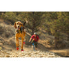 Grip Trex Dog Boot Pair