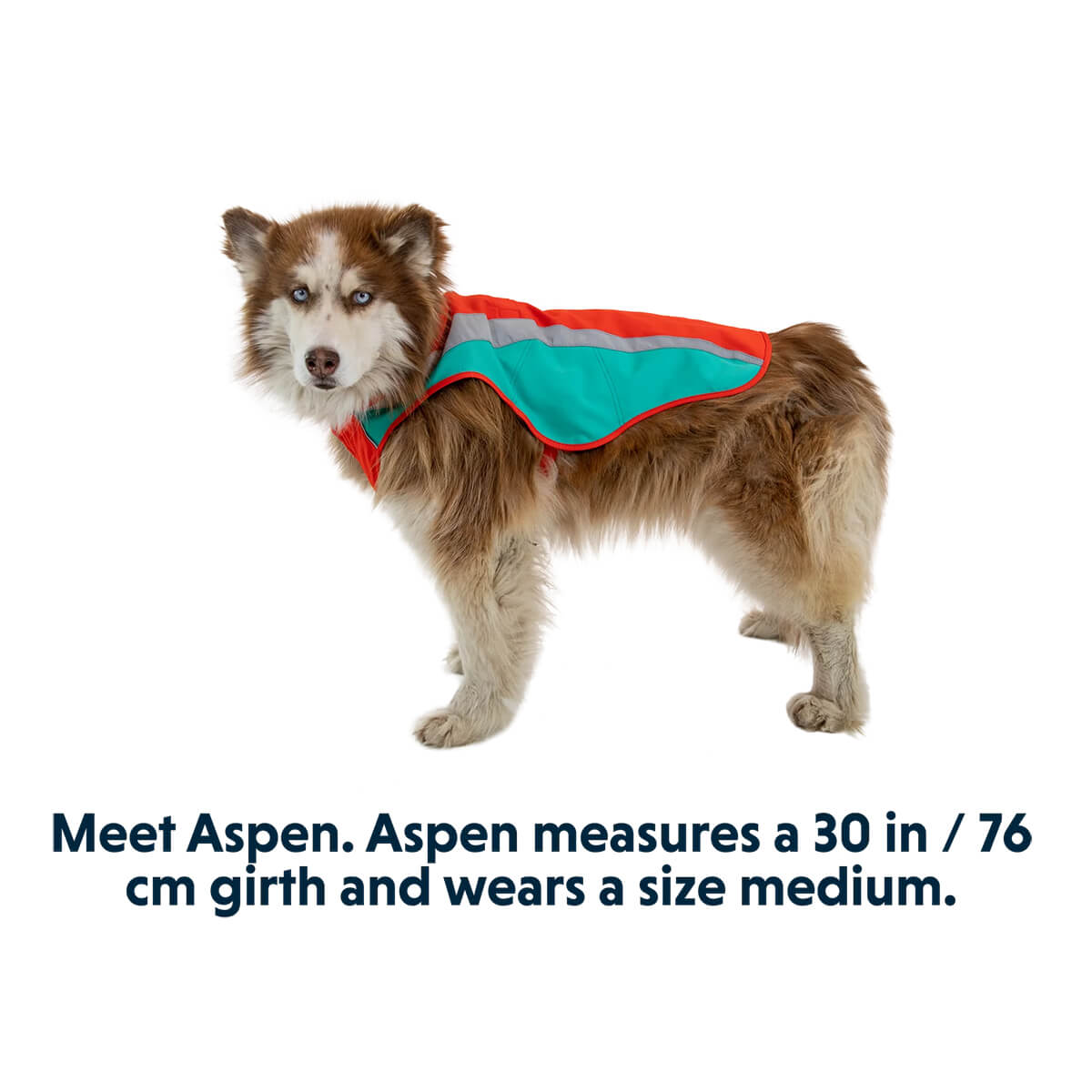 Lumenglow Hi-Vis Dog Jacket