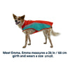 Lumenglow Hi-Vis Dog Jacket
