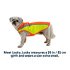Lumenglow Hi-Vis Dog Jacket
