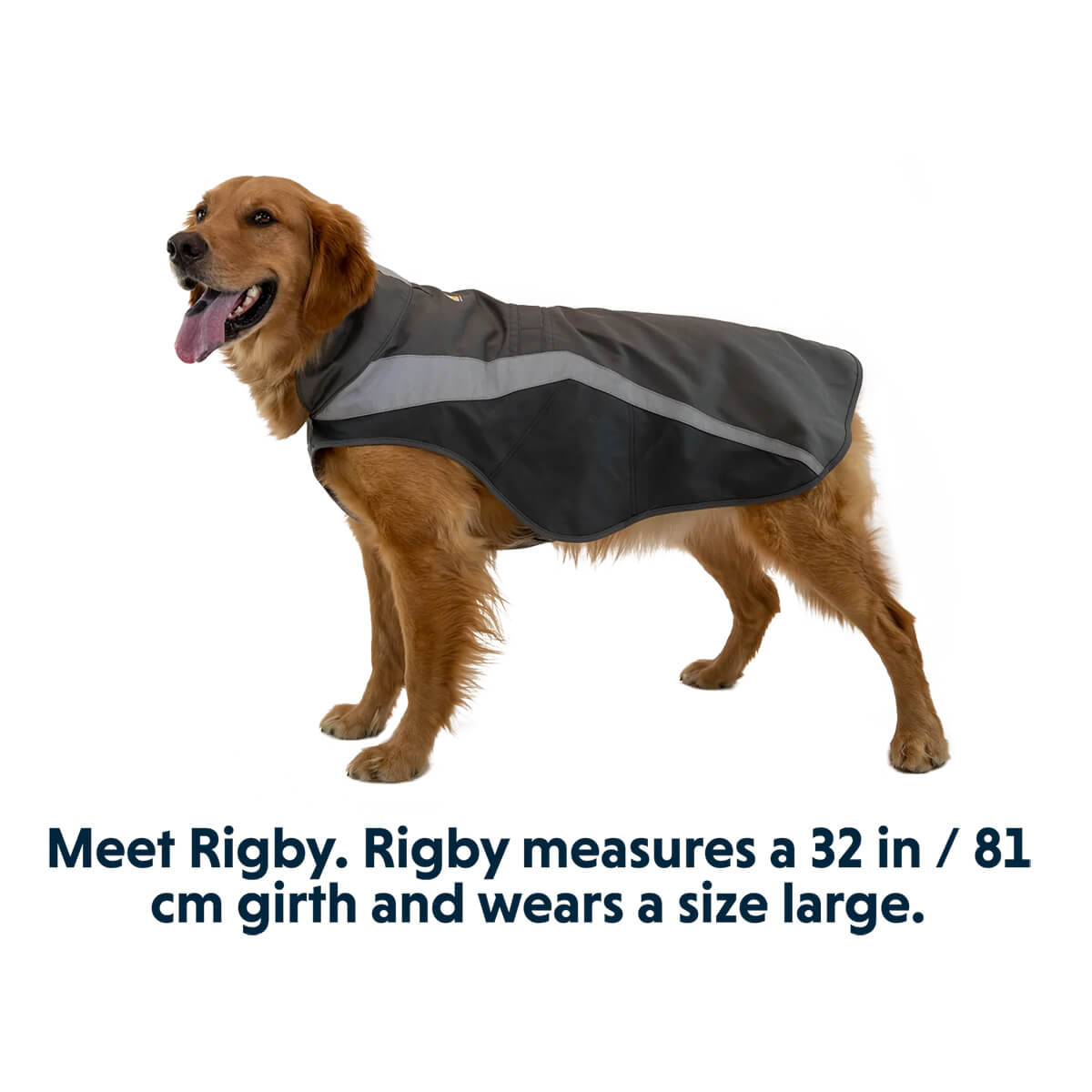 Lumenglow Hi-Vis Dog Jacket