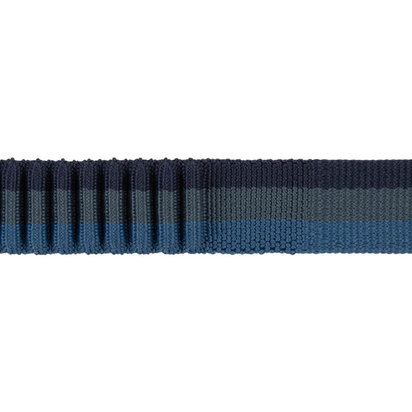 Roamer Bungee Dog Leash