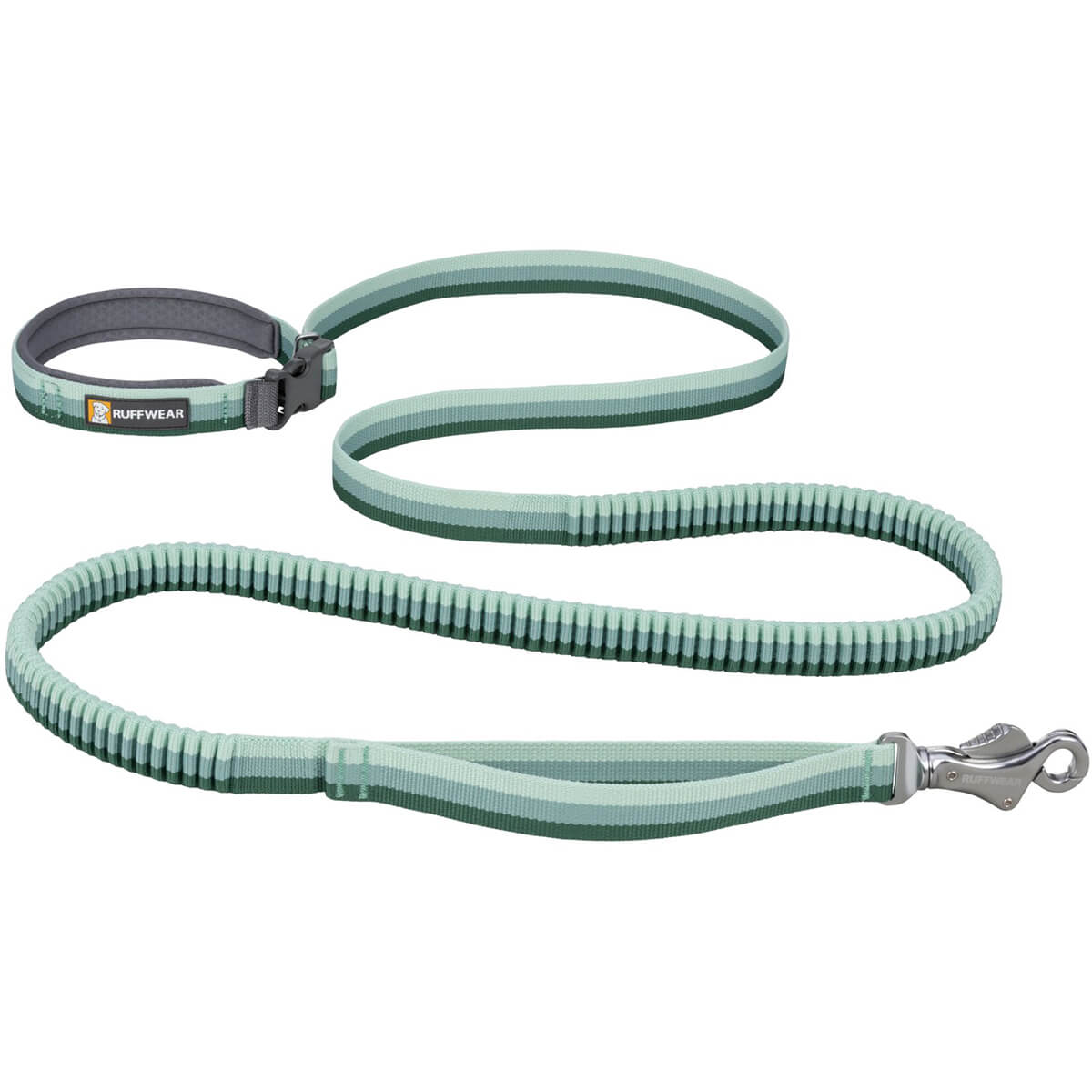 Roamer Bungee Dog Leash