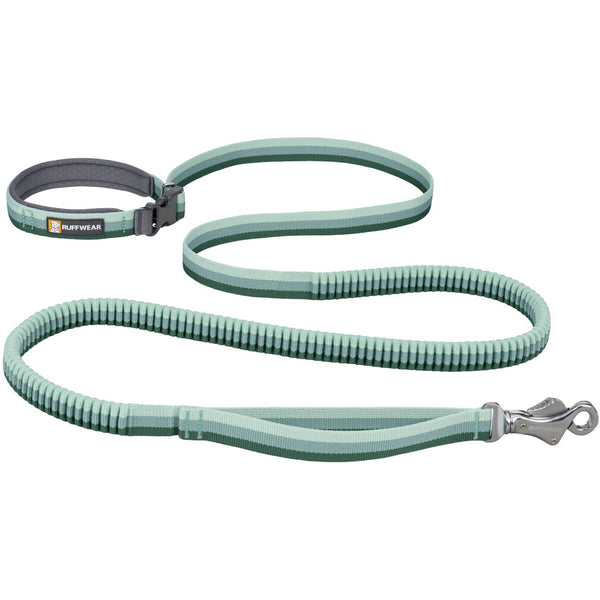 Roamer Bungee Dog Leash