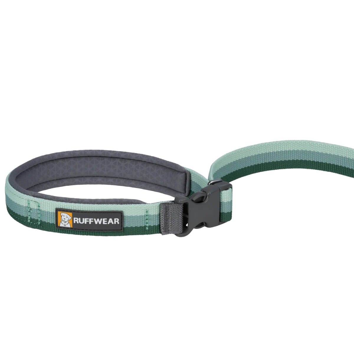 Roamer Bungee Dog Leash