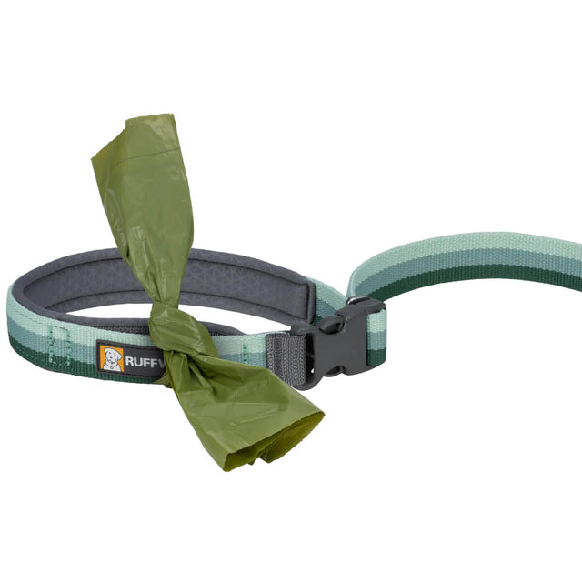 Roamer Bungee Dog Leash