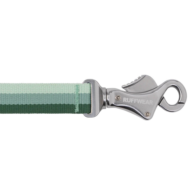 Roamer Bungee Dog Leash
