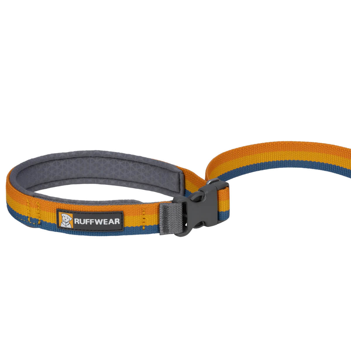 Roamer Bungee Dog Leash