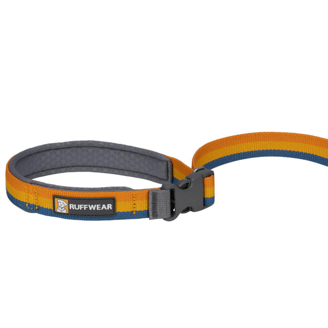 Roamer Bungee Dog Leash