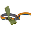 Roamer Bungee Dog Leash