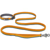Roamer Bungee Dog Leash