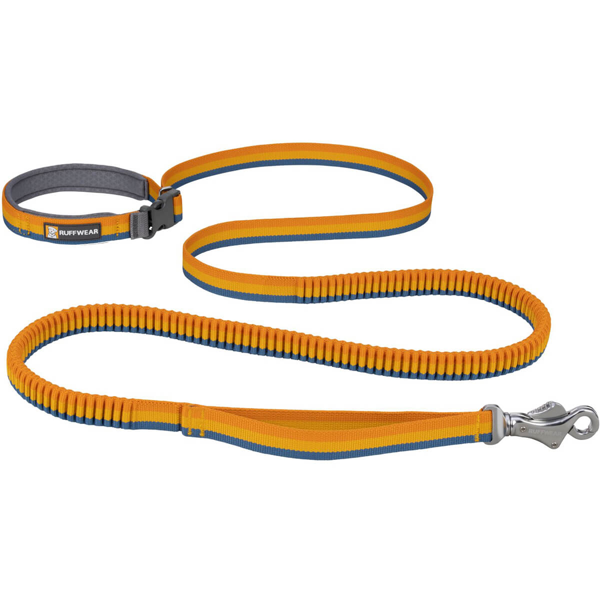 Roamer Bungee Dog Leash