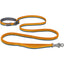 Roamer Bungee Dog Leash